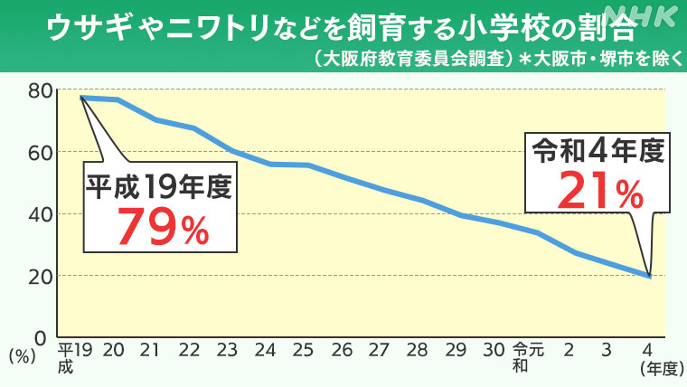 リクガメを通じて学ぶ「命の大切さ」