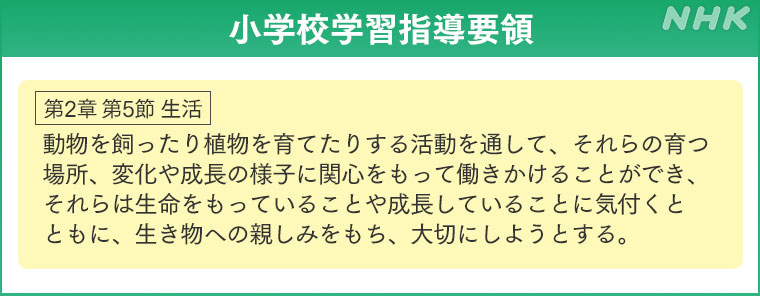 リクガメを通じて学ぶ「命の大切さ」