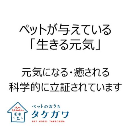 リクガメを通じて学ぶ「命の大切さ」