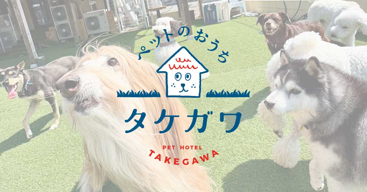 お客様からの質問_2025GWの様子