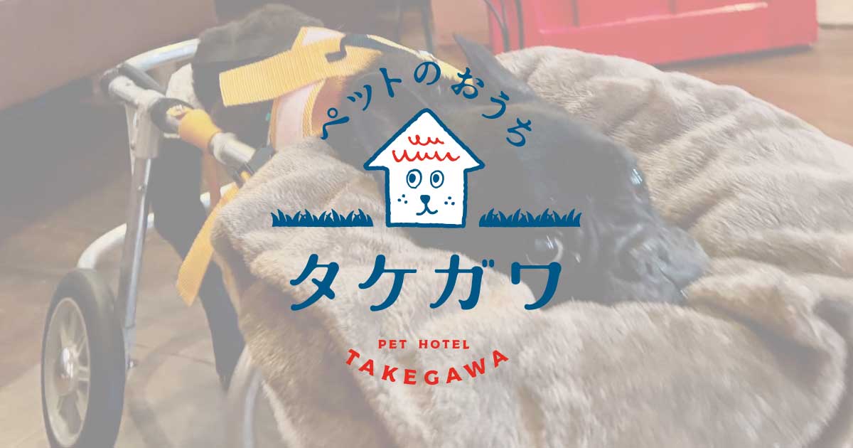 お客様の声｜フレンチブルドッグ（プーちゃん）
