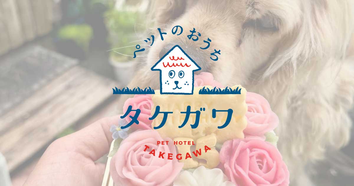 高齢ペットの長期預かりって実際どうなの？