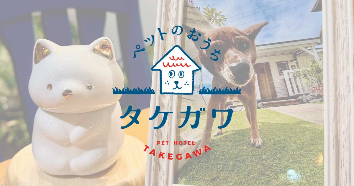 夢ちゃん、おやすみ。ありがとう。｜美濃柴犬