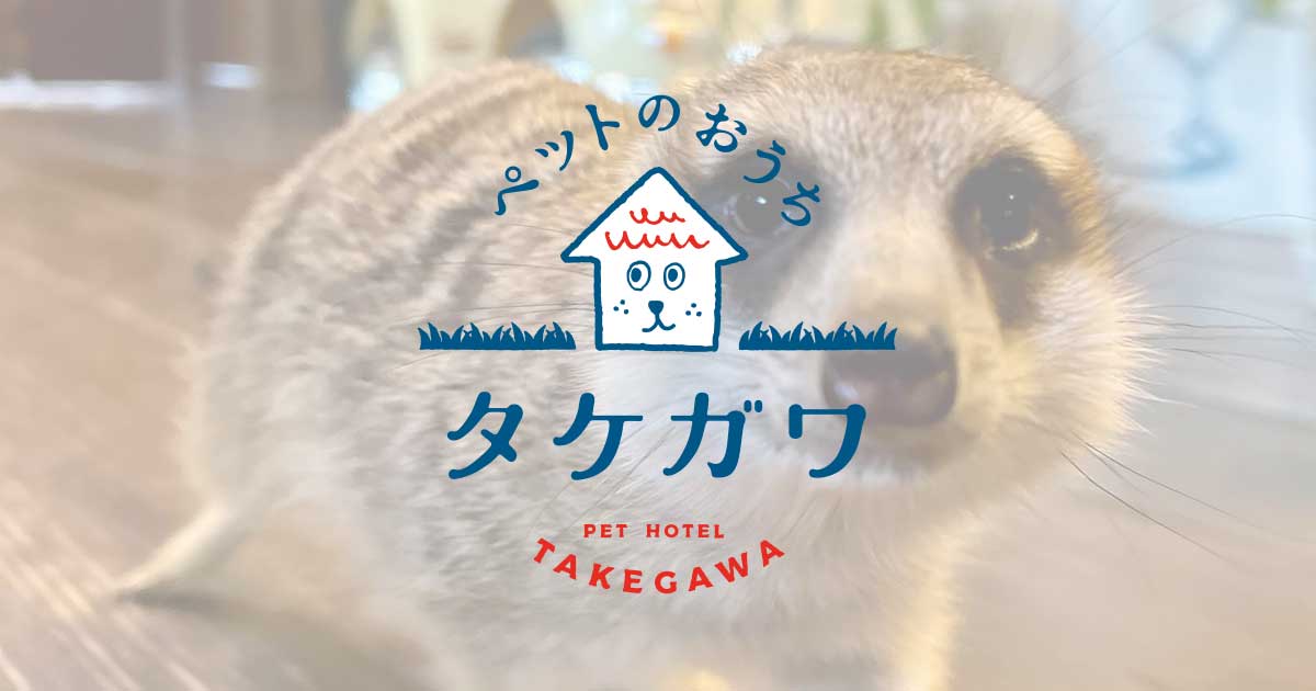 お客様の声｜ミーアキャット（カシラ君）