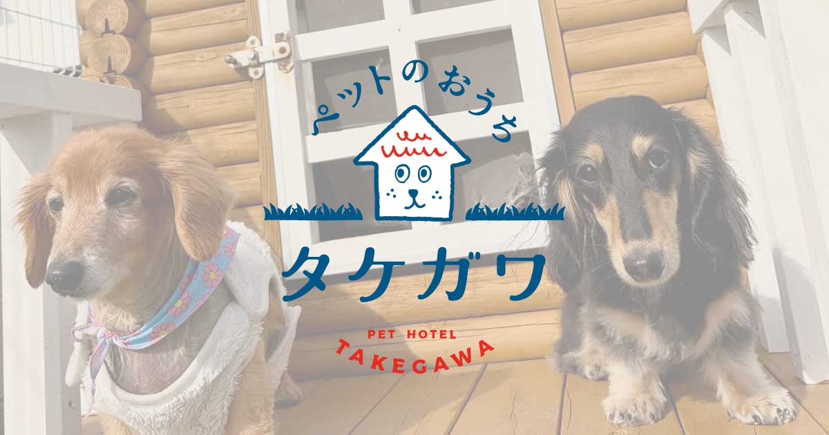 お客様の声｜ミニチュアダックスフンド（ラックくん）