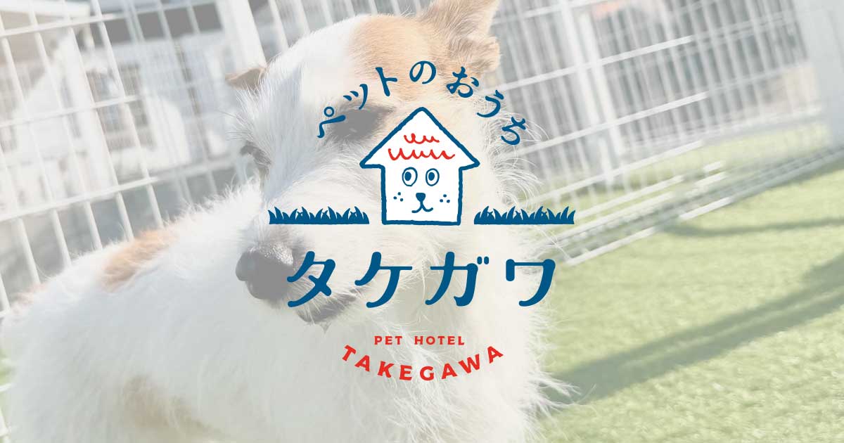 お客様の声｜ジャックラッセルテリア（ゆずちゃん）