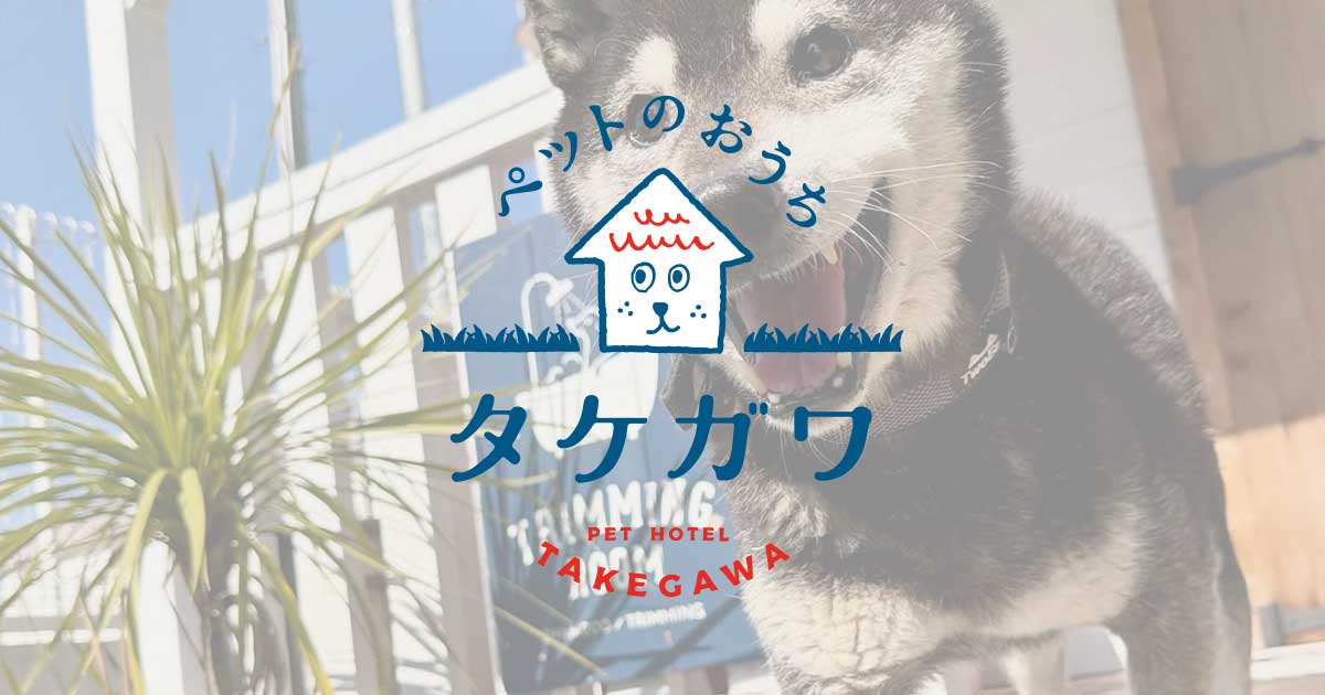 お客様の声｜黒柴（ホタルくん）