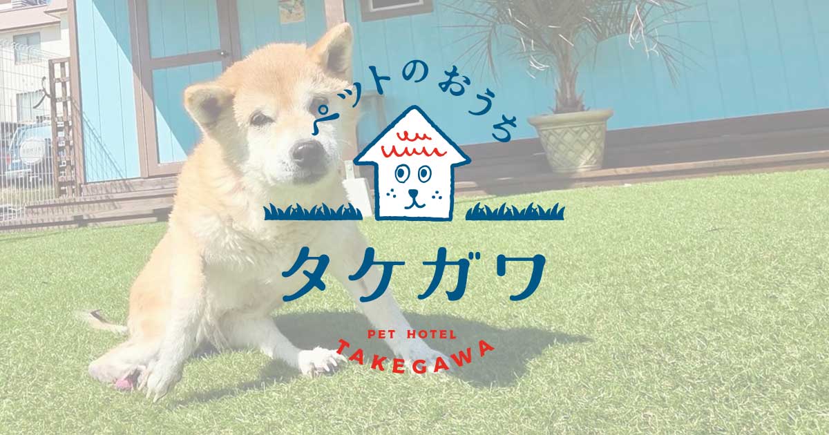 お客様の声｜柴犬（ナナちゃん）
